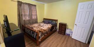 Beautiful 3 Bed 1 Bath Home in Security-Widefield!!! Gallery 11