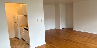 Graduate and Professional Gallery 87