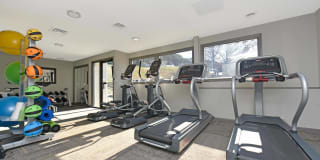 The Palmer Gallery 12