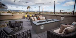 Aquatic Higby Gallery 12