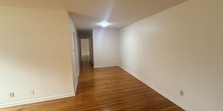 Graduate and Professional Gallery 81