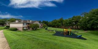 Cooper Creek Gallery 25
