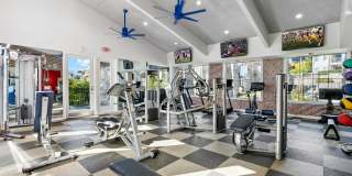 Terraces at Glassford Hill Gallery 16