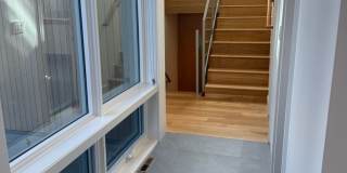 Silver Maple Stunning Gallery 12