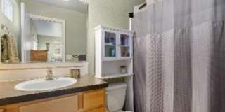 1009 Andrews Peak Dr Gallery 9