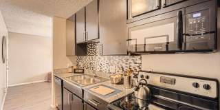 Element Austin Apartments Gallery 7