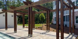 Waterleaf at Salt Creek Gallery 16