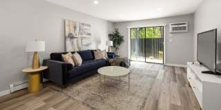 Renaissance Bay Gallery 8