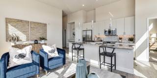 Alexan Montview Gallery 14