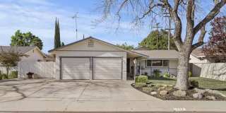 3 Bedroom Home available now. With POOL! 3 Bedroom Home available now. With POOL! Gallery 1