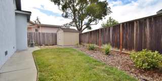 COMING SOON! | $3,990 /  BEAUTIFUL BROOKVALE HOME IN CENTRAL FREMONT Gallery 14