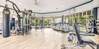 Olympus Carrington Gallery 29