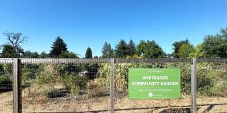 346 North Grand Street Gallery 20