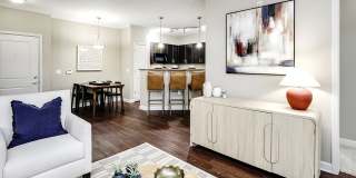 Aventine at Wilderness Hills Gallery 6