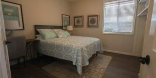 28462 La Plumosa Gallery 11