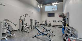 Tesoro on Spain Gallery 26