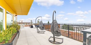 Colina Gallery 16