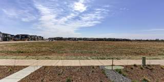 3 Bedroom 3 Bath in Mosaic! 3 Bedroom 3 Bath in Mosaic! Gallery 36