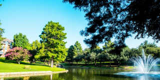 Village Lakes Gallery 8