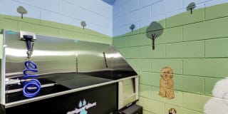 The Brody Gallery 14