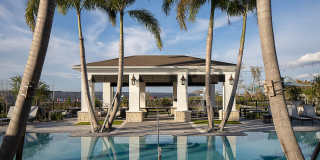 Serenza at Ocoee Village Apartments Gallery 12