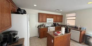 2515 Begonia Valley Avenue Gallery 7