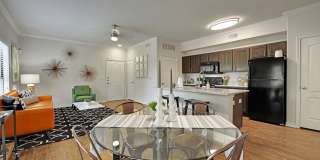 Austin City Lights Gallery 4