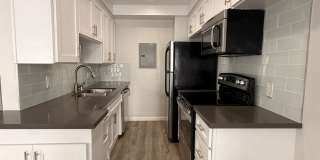 The Shelby Apartments Gallery 1