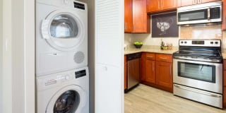 Vista Torre Gallery 24