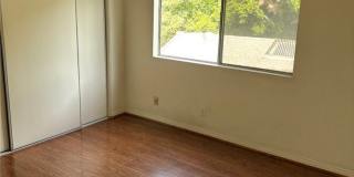 1143 Wilcox Place N Gallery 10