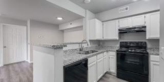 Creekside Clearing Gallery 3