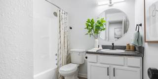 Park Place Gallery 6