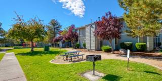 The Meadows Gallery 6