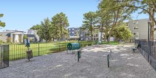 The Avantus Apartments Gallery 22