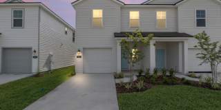 111 BRAZIL NUT Circle Gallery 1