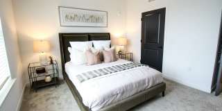 Lavina Gallery 8