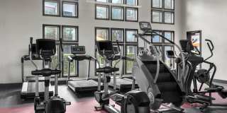 Crosstown Walk Gallery 38