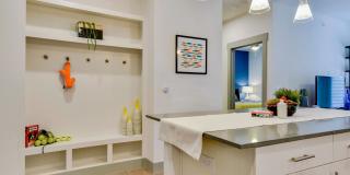 Palo Verde Gallery 15