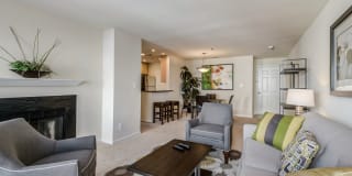 Rosslyn Heights Gallery 64