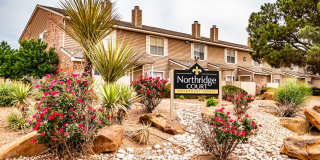 NORTHRIDGE COURT APARTMENT HOMES Gallery 18