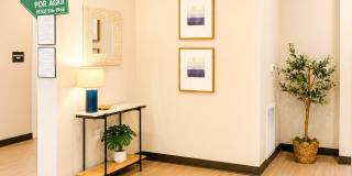 Elevate Your Comfort at Bibb Senior Living! Gallery 25