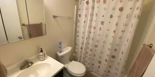 1434 Tremont St #B4 Boston MA 02120 Gallery 11