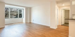 Cronin's Landing Gallery 76