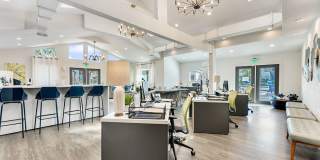 Viridian Gallery 19