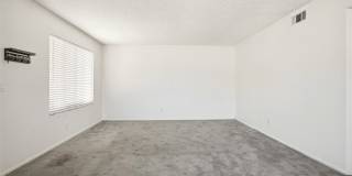 833 Cinnamon Gallery 7