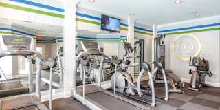 Monterey Village Gallery 8