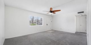 339 Joel Boulevard Gallery 6