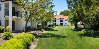Laurel Creek Gallery 10