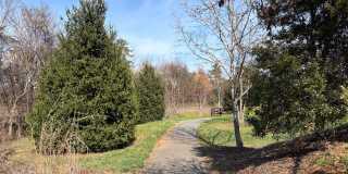 1078 Delphi Lane Gallery 53