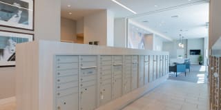 Essence Essence Gallery 14